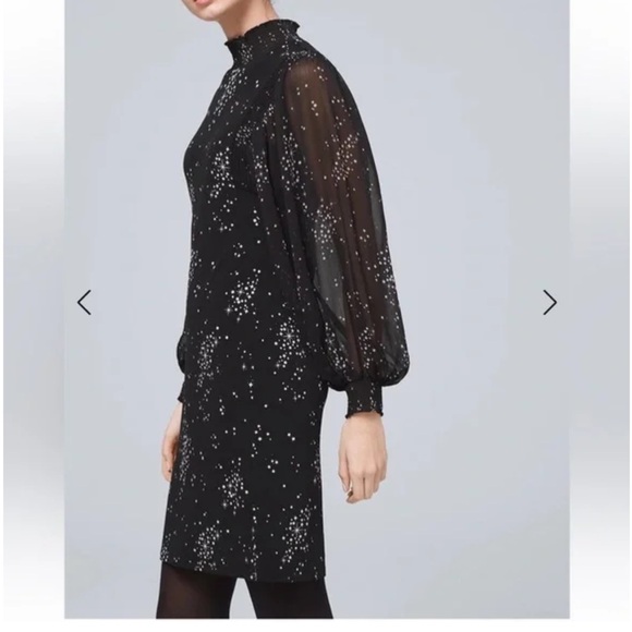 NWT! Bishop-Sleeved dress for fall - Picture 4 of 7